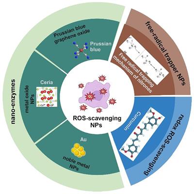 Application and design considerations of ROS-based nanomaterials in diabetic kidney disease